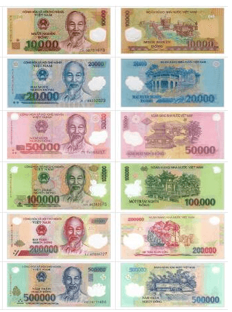 2019 越南盾幣別