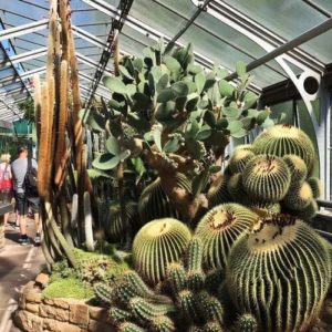 德國司徒加特=斯圖加特Stuttgart必玩-Wilhelma Zoological-Botanical Garden 威廉瑪動植物園