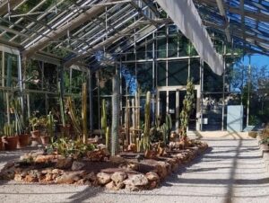 義大利比薩 Pisa 必玩 - Orto e Museo Botanico 比薩植物園