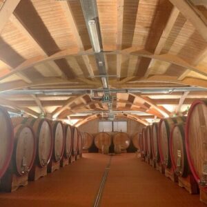 義大利Montalcino 蒙達奇諾 = 蒙塔奇諾必吃 - Cantina di Montalcino - 網紅酒莊