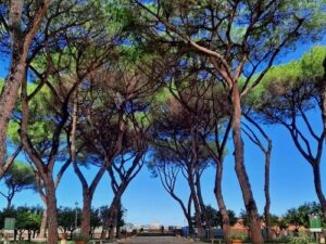 義大利 Rome 羅馬 (義語 Roma) 必玩 - Giardino degli Aranci 橘園花園 =  Parco Savello 薩維洛公園