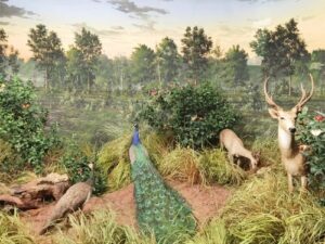 義大利Milan 米蘭 (義語 Milano) 必玩 - Museo Civico di Storia Naturale di Milano 米蘭市立自然歷史博物館