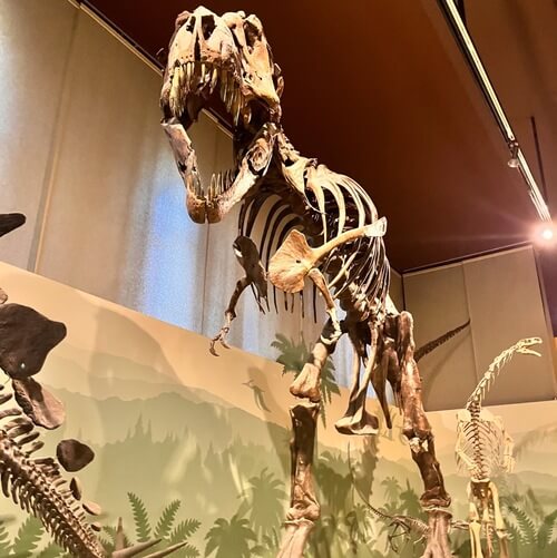 義大利Milan 米蘭 (義語 Milano) 必玩 - Museo Civico di Storia Naturale di Milano 米蘭市立自然歷史博物館