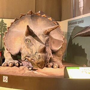 義大利Milan 米蘭 (義語 Milano) 必玩 - Museo Civico di Storia Naturale di Milano 米蘭市立自然歷史博物館