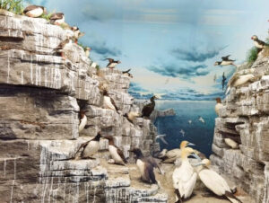 義大利Milan 米蘭 (義語 Milano) 必玩 - Museo Civico di Storia Naturale di Milano 米蘭市立自然歷史博物館