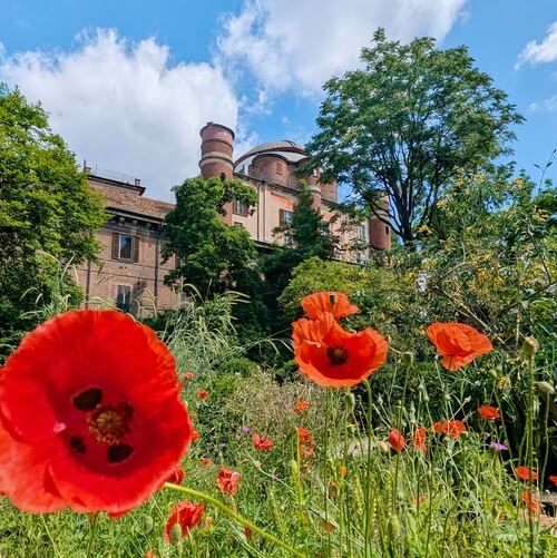 義大利Milan 米蘭 (義語 Milano) 必玩 - Accademia di Belle Arti di Brera 布雷拉美術學院 = 國立米蘭美術學院 = Accademia di Brera = Palazzo di Brera = Pinacoteca di Brera 布雷拉美術館 = 布雷拉畫廊 = Cortile d'onore del Palazzo di Brera 布雷拉宮榮譽庭院 = Biblioteca Nazionale Braidense di Brera 布雷拉國立圖書館 = Biblioteca Nazionale Braidense = Orto Botanico di Brera 布雷拉植物園 = Hortus Botanicus Braidensis = Museo Astronomico di Brera 布雷拉天文博物館 = Museo Astronomico-Orto Botanico di Brera = INAF - Osservatorio Astronomico di Brera = Palazzo Citterio 奇特里奧宮