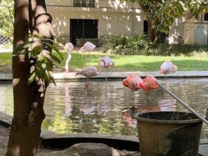 義大利Milan 米蘭 (義語 Milano) 必玩 - Villa Invernizzi 因弗尼茲別墅 = 因韋爾尼齊別墅