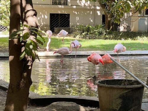 義大利Milan 米蘭 (義語 Milano) 必玩 - Villa Invernizzi 因弗尼茲別墅 = 因韋爾尼齊別墅