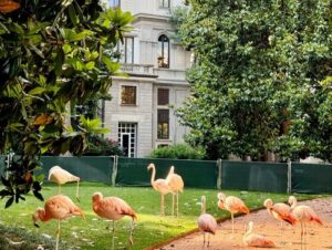 義大利Milan 米蘭 (義語 Milano) 必玩 - Villa Invernizzi 因弗尼茲別墅 = 因韋爾尼齊別墅