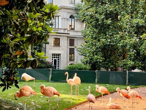 義大利Milan 米蘭 (義語 Milano) 必玩 - Villa Invernizzi 因弗尼茲別墅 = 因韋爾尼齊別墅