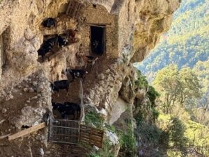 義大利波西塔諾 Positano 必玩 - Sentiero degli Dei (Path of the Gods) 眾神之路