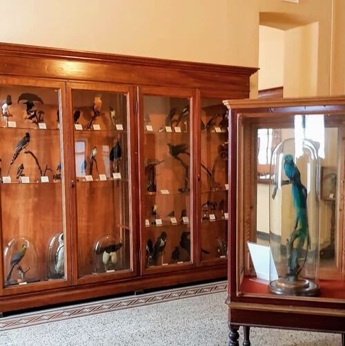 義大利科莫湖必玩 Lago di Como - Lecco 萊科 - Palazzo Belgiojoso - Polo Museale 貝爾焦霍索宮 = Palazz di Pagur = Palazzo della Dogana - Museo Archeologico di Lecco 萊科考古博物館 - Planetario di Lecco 萊科天文館