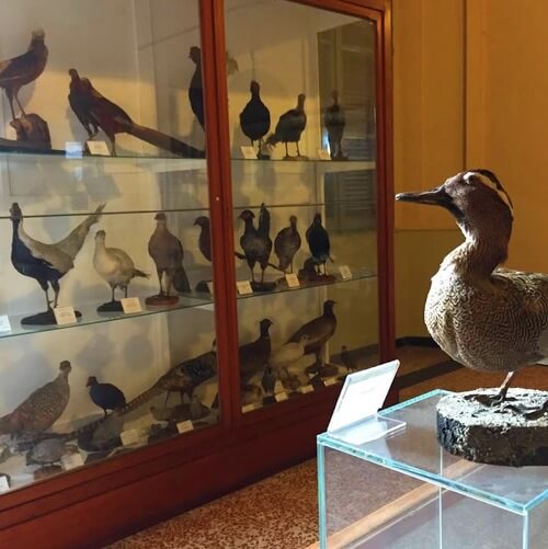 義大利科莫湖必玩 Lago di Como - Lecco 萊科 - Palazzo Belgiojoso - Polo Museale 貝爾焦霍索宮 = Palazz di Pagur = Palazzo della Dogana - Museo Archeologico di Lecco 萊科考古博物館 - Planetario di Lecco 萊科天文館